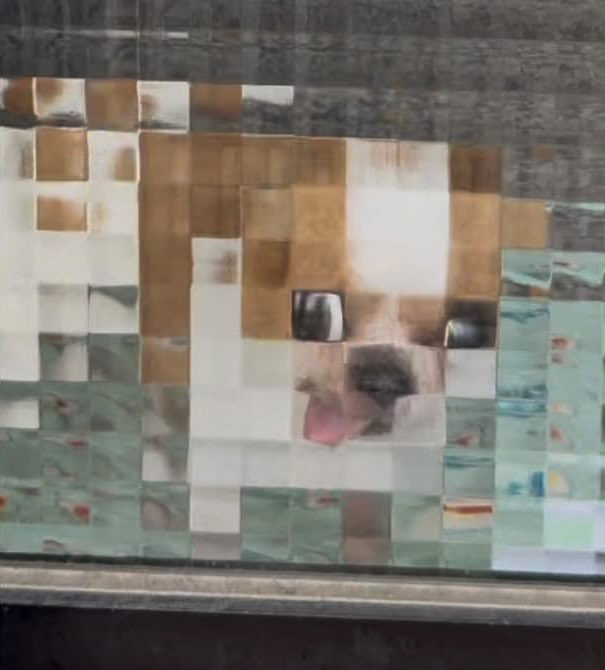 Pixelated dog looking through a window